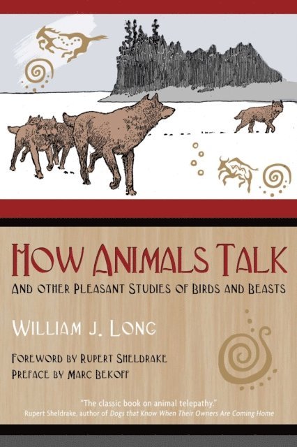 William J. Long - How Animals Talk, E-bok