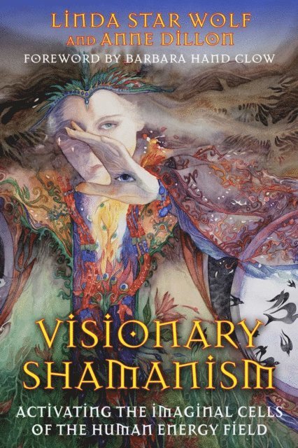 Anne Dillon, Linda Star Wolf - Visionary Shamanism, E-bok