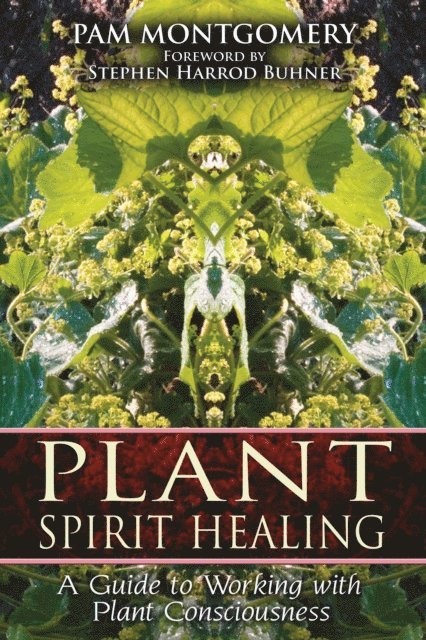 Pam Montgomery - Plant Spirit Healing, E-bok