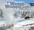 Winter Wonderland in Yellowstone