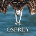 Osprey: The Glorious Pursuit of Unbridled Determination
