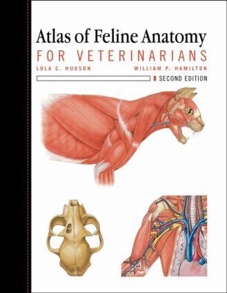 Lola Hudson, William Hamilton - Atlas of Feline Anatomy For Veterinarians, Häftad