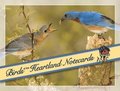 Birds of the Heartland Notecards