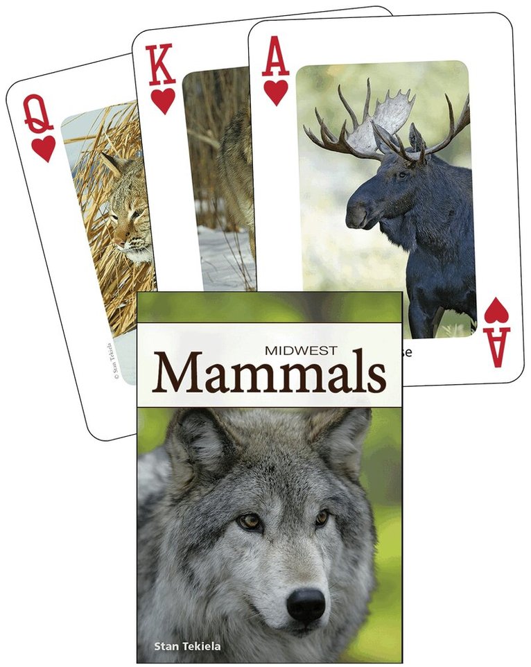 Stan Tekiela - Mammals of the Midwest Playing Cards, Övrigt