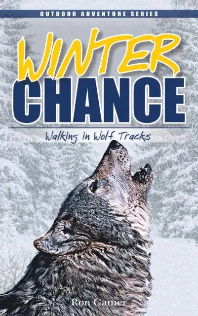 Ron Gamer - Winter Chance, E-bok. Tillgänglighet: Lägg i varukorg