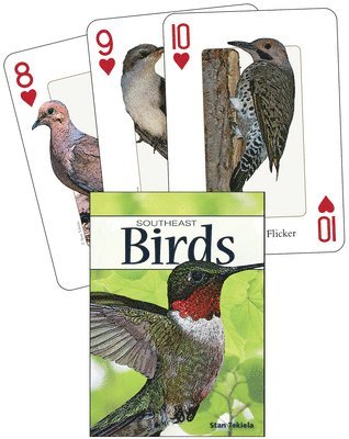 Birds of the Southeast Playing Cards av Stan Tekiela