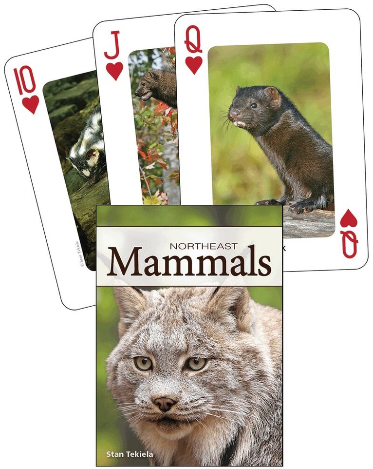 Stan Tekiela - Mammals of the Northeast Playing Cards, Övrigt