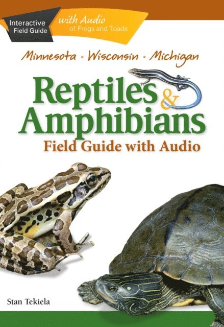 Stan Tekiela - Reptiles & Amphibians of Minnesota, Wisconsin and Michigan Field Guide, E-bok