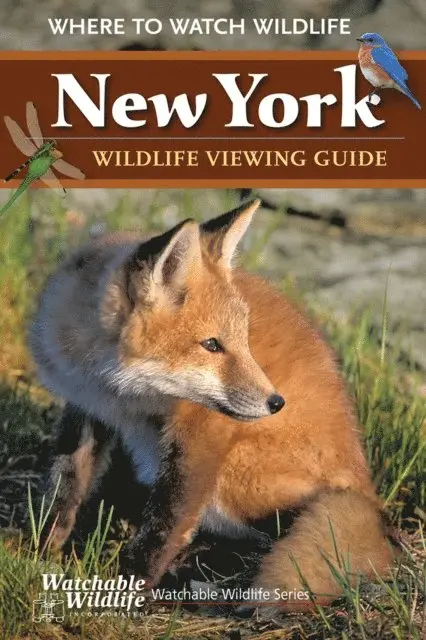 Watchable Wildlife Incorporated - New York Wildlife Viewing Guide, E-bok. Tillgänglighet: Lägg i varukorg