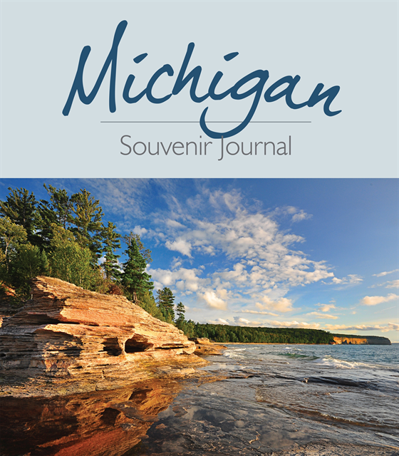 Brett Ortler - Michigan Souvenir Journal, E-bok