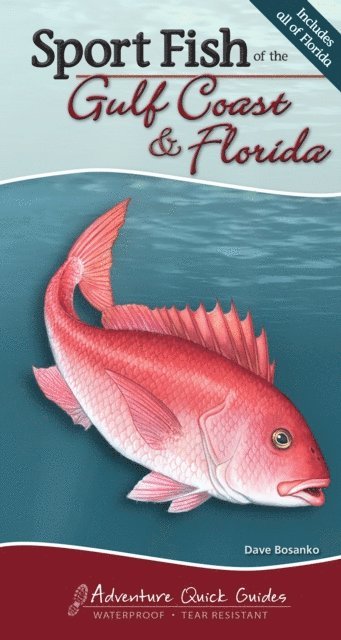 Dave Bosanko - Sport Fish of the Gulf Coast & Florida, E-bok