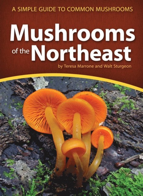 Walt Sturgeon, Teresa Marrone - Mushrooms of the Northeast, E-bok