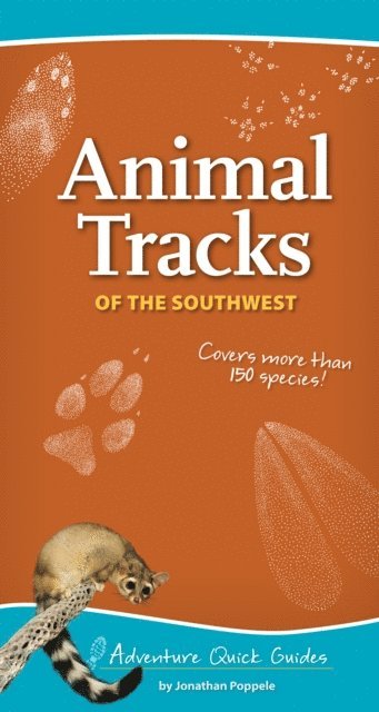 Jonathan Poppele - Animal Tracks of the Southwest, E-bok