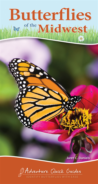 Jaret C. Daniels - Butterflies of the Midwest, E-bok