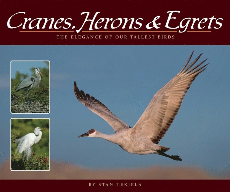 Cranes, Herons & Egrets, E-bok
