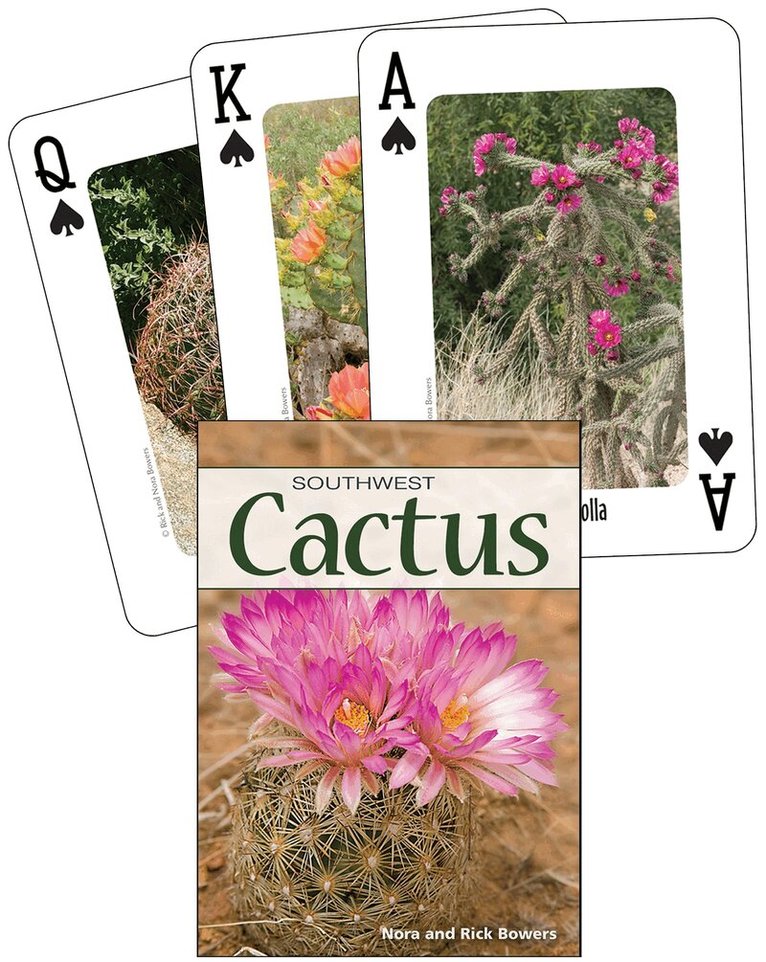 Nora Bowers, Rick Bowers - Cactus of the Southwest, Övrigt