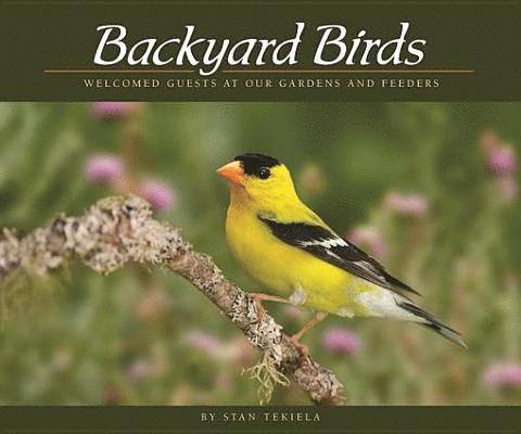 Stan Tekiela - Backyard Birds, E-bok