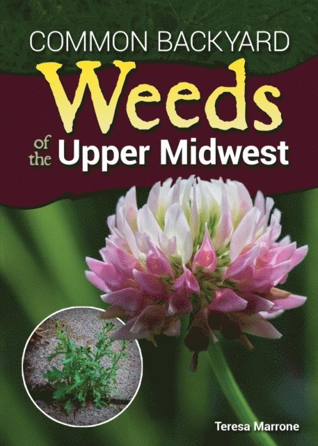 Teresa Marrone - Common Backyard Weeds of the Upper Midwest, E-bok