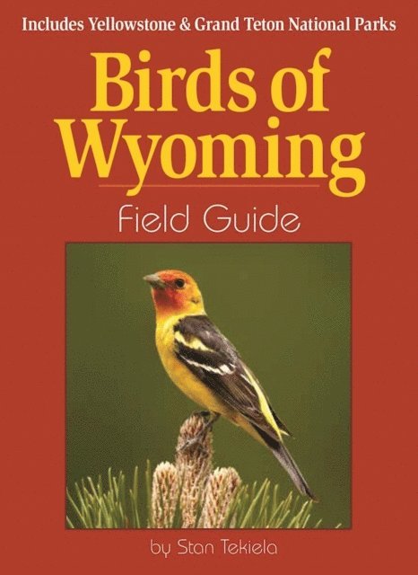 Stan Tekiela - Birds of Wyoming Field Guide, E-bok