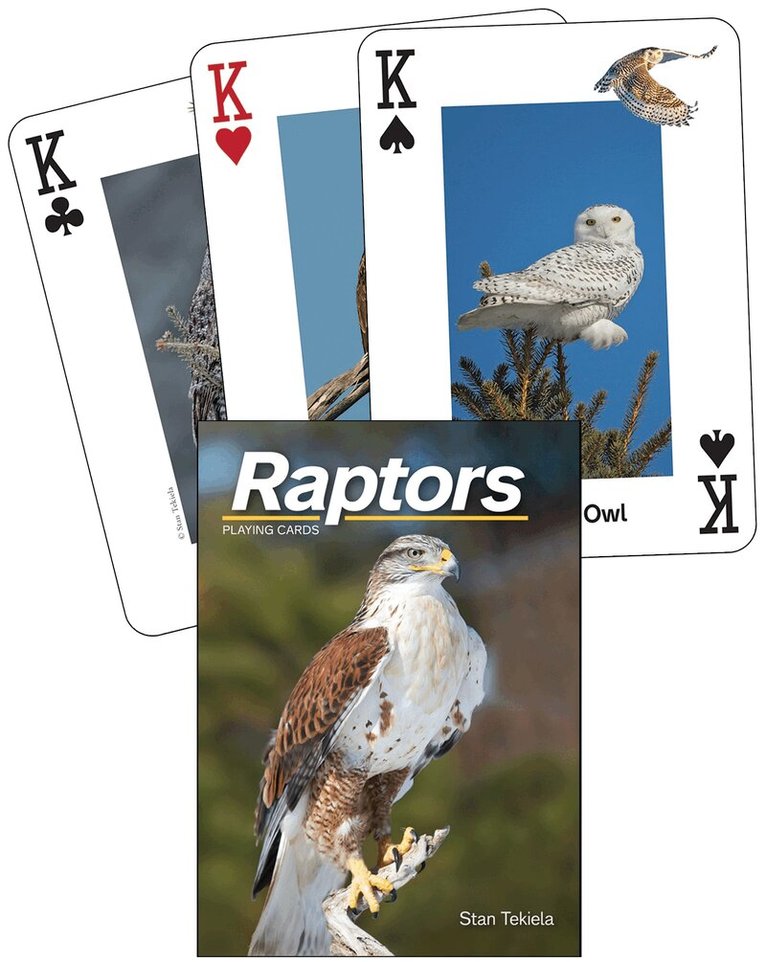 Stan Tekiela - Raptors Playing Cards, Övrigt. Tillgänglighet: Lägg i varukorg