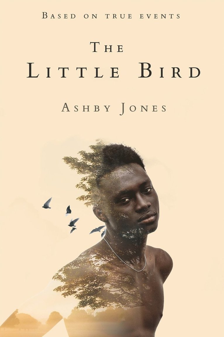 Ashby Jones - Little Bird, Häftad