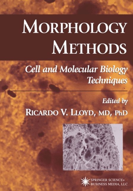 Ricardo V. Lloyd - Morphology Methods, E-bok