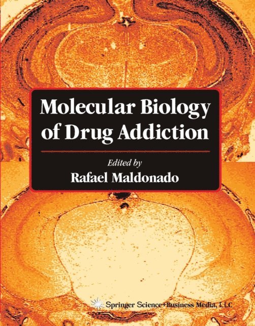 Rafael Maldonado - Molecular Biology of Drug Addiction, E-bok
