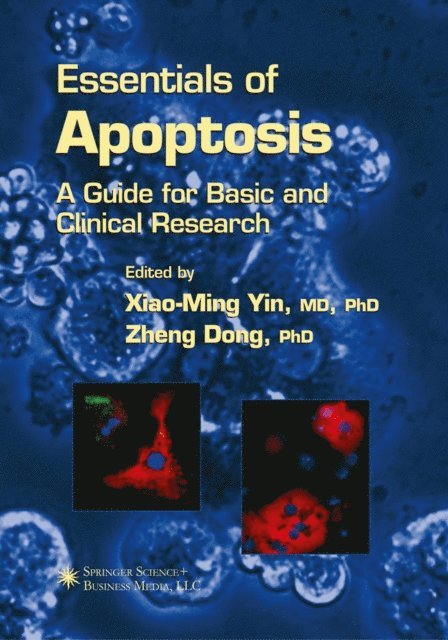 Zheng Dong, Xiao-Ming Yin - Essentials of Apoptosis, E-bok