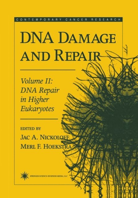 Merl F. Hoekstra, Jac A. Nickoloff - DNA Damage and Repair, E-bok