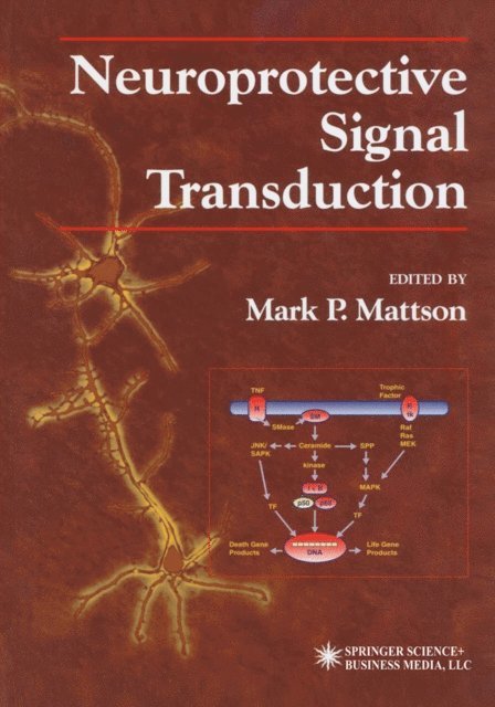 Mark P. Mattson - Neuroprotective Signal Transduction, E-bok