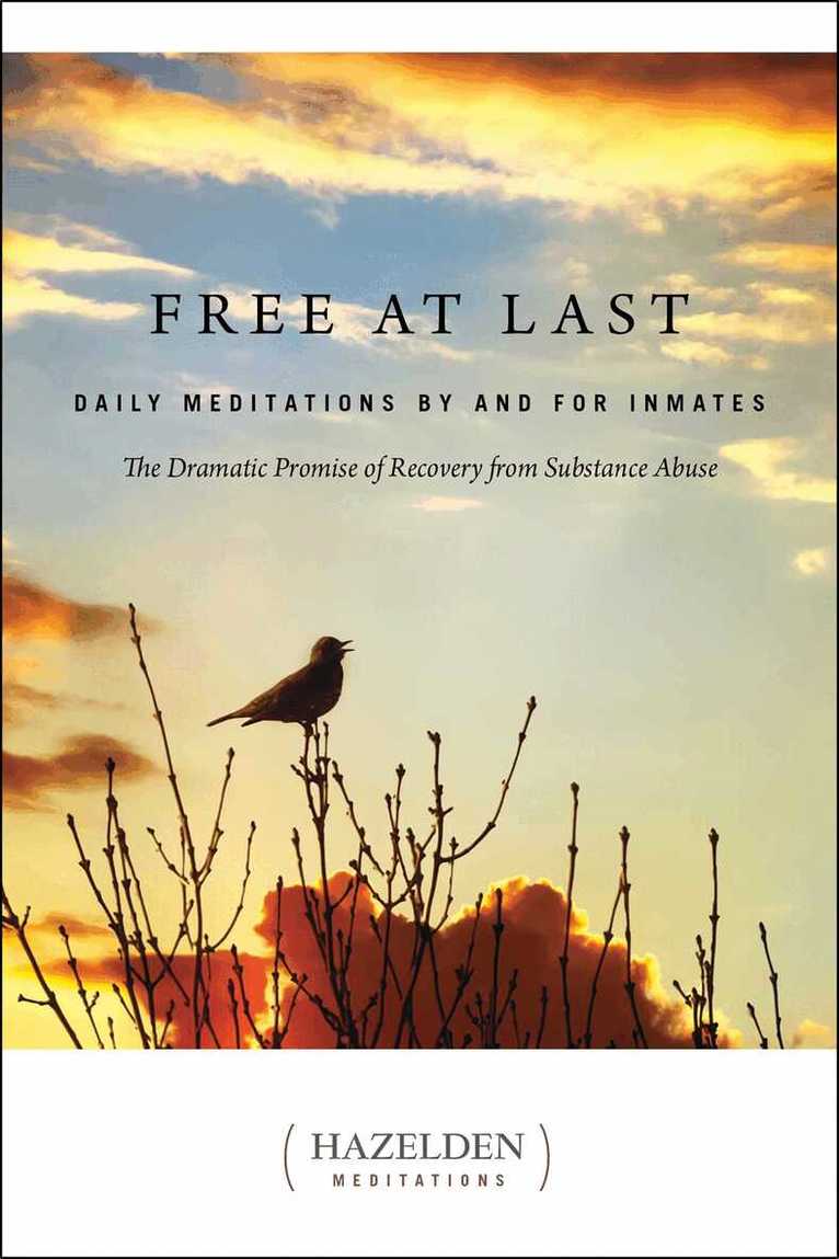 ANONYMOUS - Free at Last, E-bok