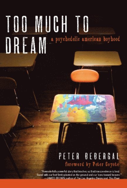 Peter Bebergal - Too Much to Dream, E-bok