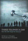 Three Felonies a Day