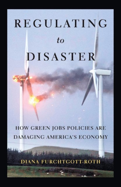 Diana Furchtgott-Roth - Regulating to Disaster, E-bok
