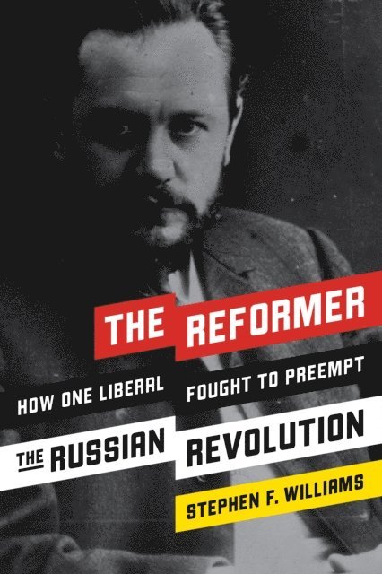 Stephen F. Williams - Reformer, E-bok