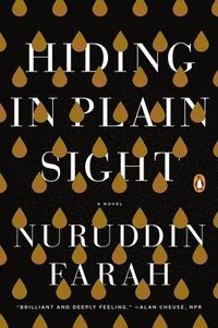 Hiding in Plain Sight