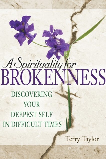 Terry Taylor - Spirituality for Brokenness, E-bok