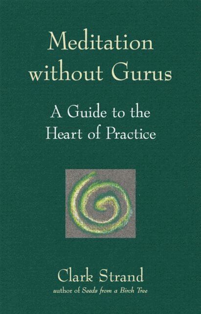 Clark Strand - Meditation without Gurus, E-bok