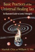 Basic Practices of the Universal Healing Tao