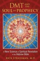 DMT and the Soul of Prophecy