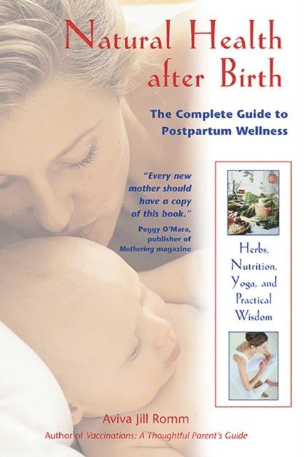 Aviva Jill Romm - Natural Health after Birth, E-bok