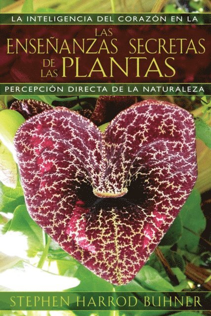 Stephen Harrod Buhner - Las enseñanzas secretas de las plantas, E-bok