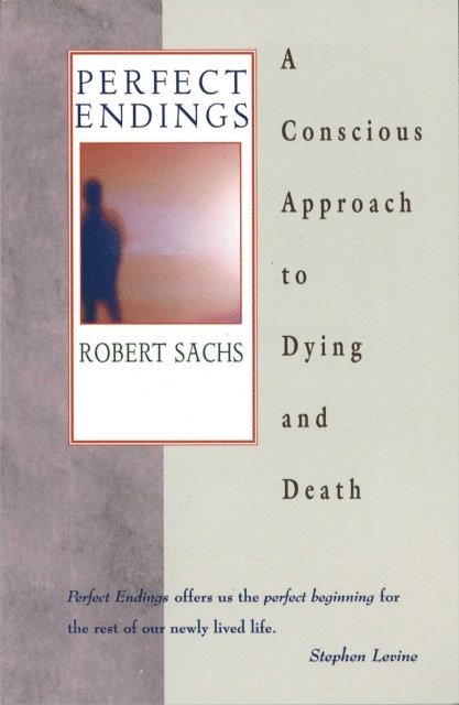 Robert Sachs - Perfect Endings, E-bok