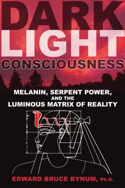Edward Bruce Bynum - Dark Light Consciousness, E-bok