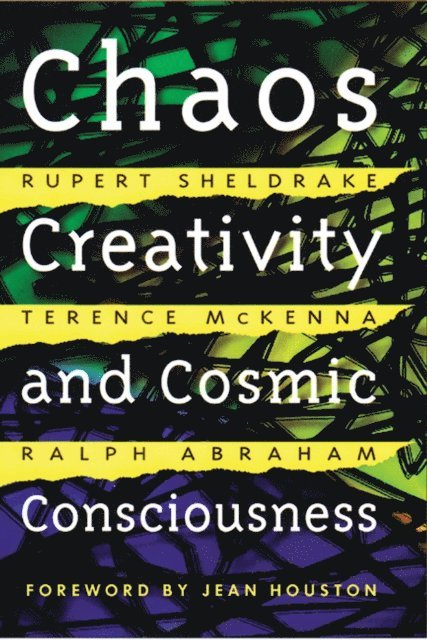 Ralph Abraham, Terence McKenna, Rupert Sheldrake - Chaos, Creativity, and Cosmic Consciousness, E-bok