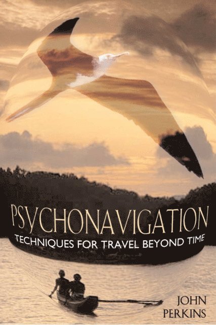 John Perkins - Psychonavigation, E-bok