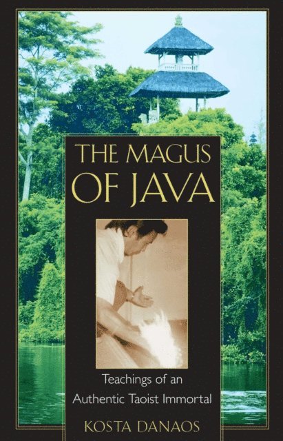 Kosta Danaos - Magus of Java, E-bok