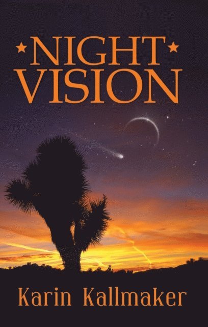 Karin Kallmaker - Night Vision, E-bok