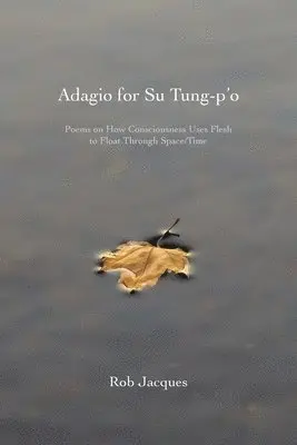 Rob Jacques - Adagio for Su Tung-p'o: Poems on How Consciousness Uses Flesh to Float Through Space/Time, Häftad. Tillgänglighet: Lägg i varukorg