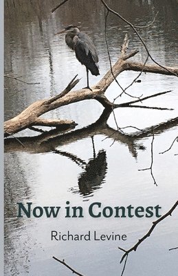 Richard Levine - Now in Contest, Häftad